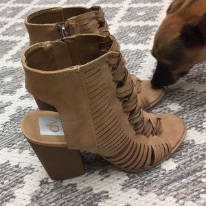 DV Heels